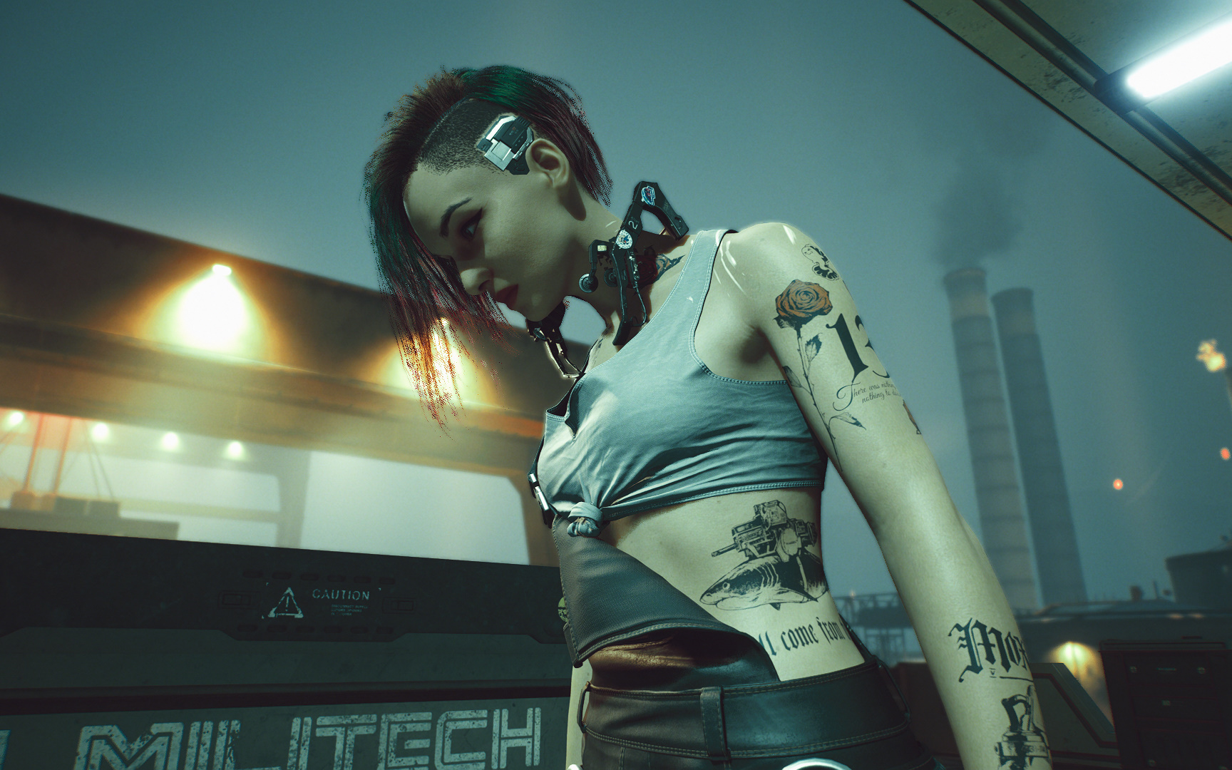 cyberpunk2077 愤怒的judy(rogue替换)_哔哩哔哩_bilibili