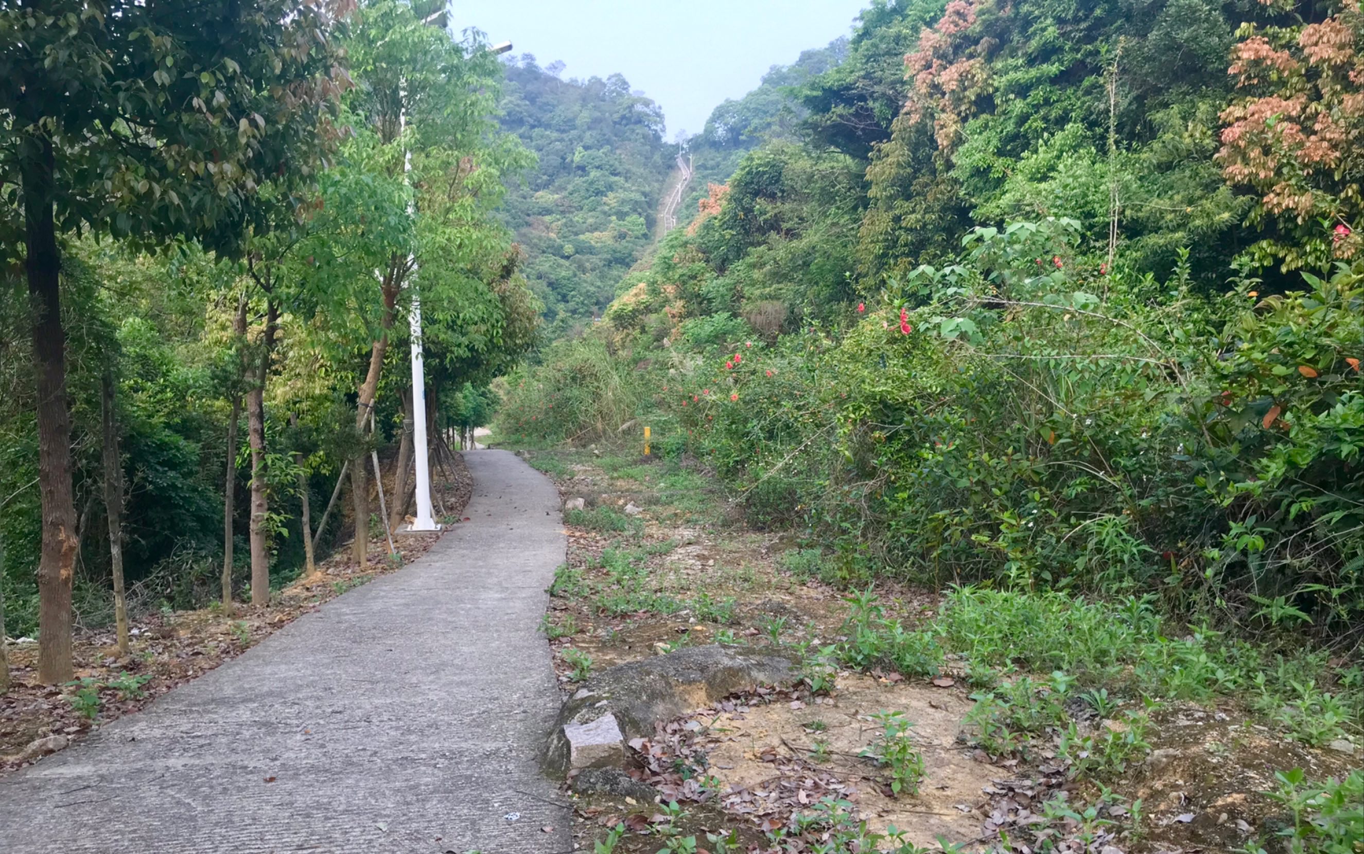 【聪哥讲地理】【地理微课】水土流失及其治理哔哩哔哩bilibili