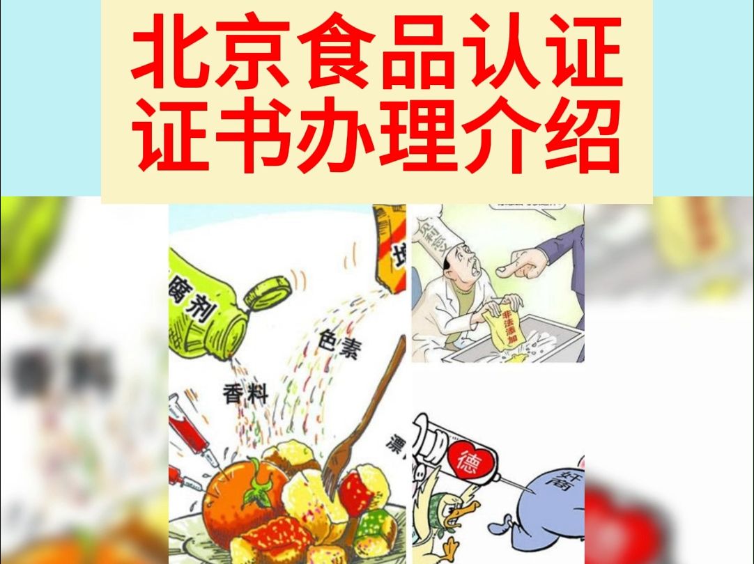 北京食品认证证书办理介绍哔哩哔哩bilibili