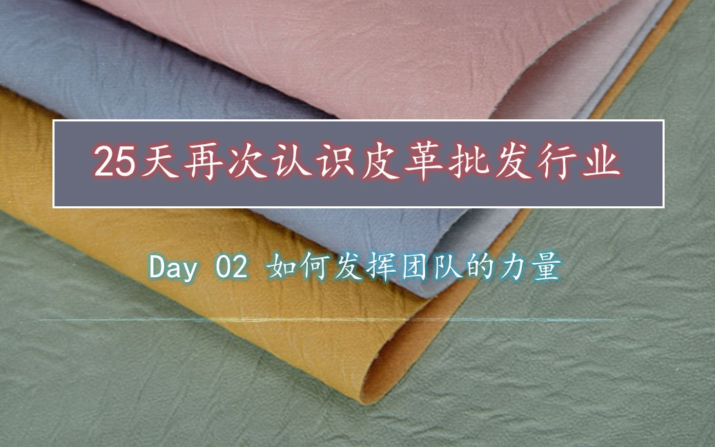 25天再次认识皮革批发行业 | Day 02 如何发挥团队的力量哔哩哔哩bilibili