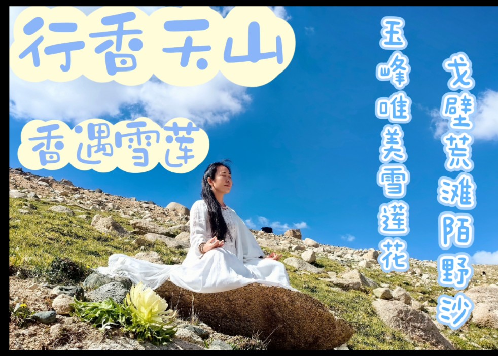 戈壁荒滩陌野沙 玉峰唯美雪莲花哔哩哔哩bilibili