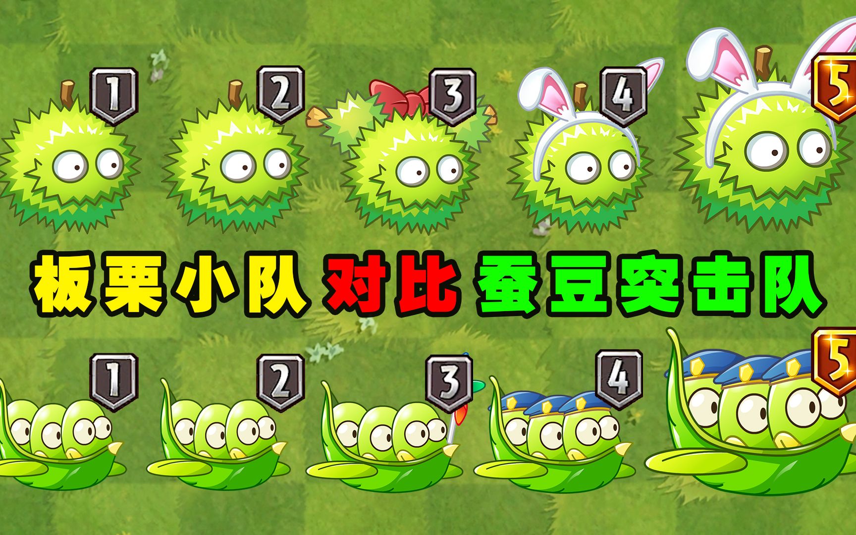 板栗小队和蚕豆突击队1至5阶对比,两个多成员植物谁更实用?