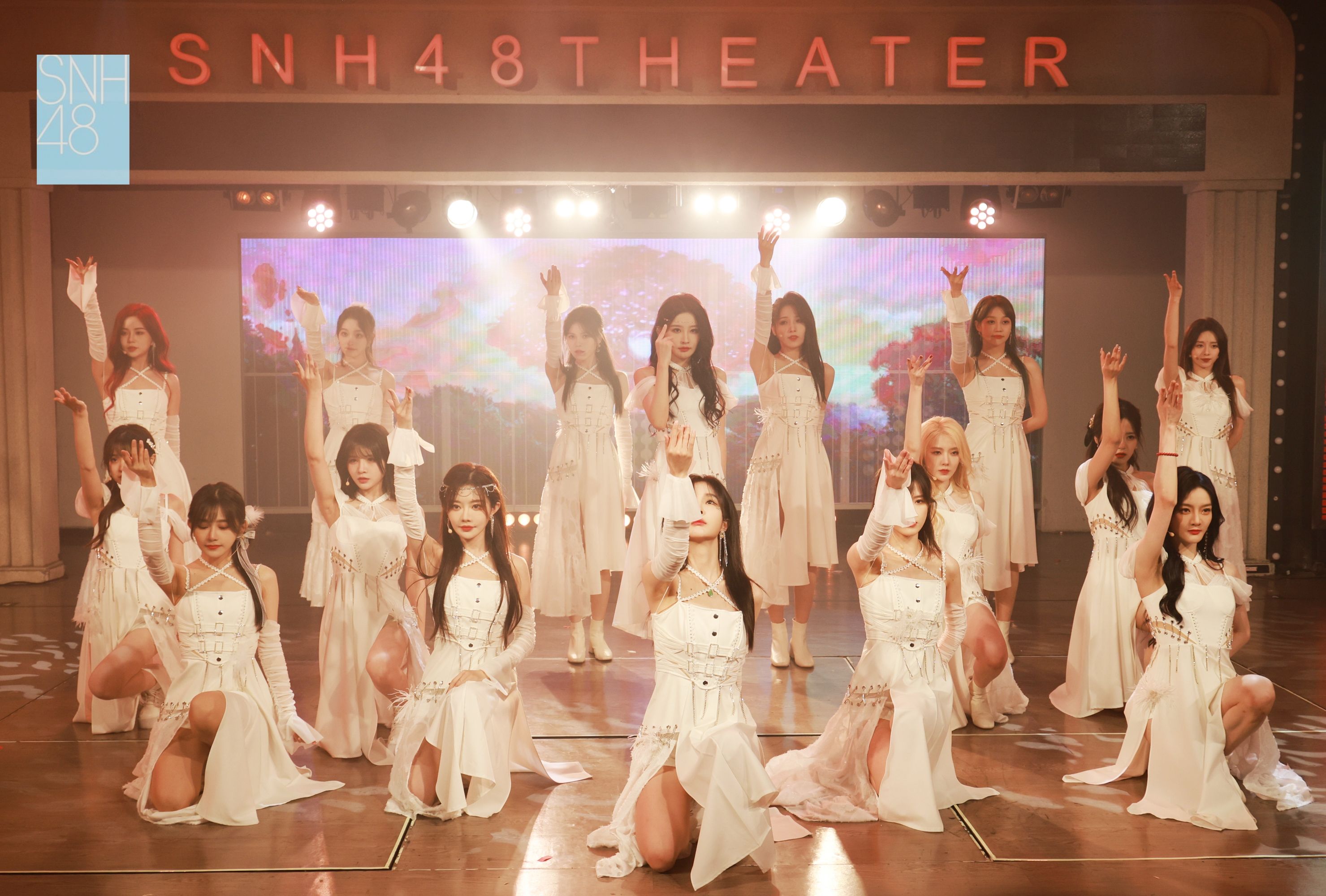 snh48teamnii成员名单图片