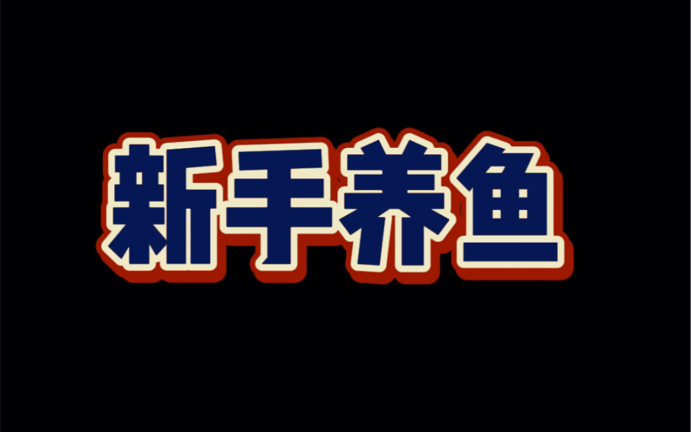 新手养鱼#养鱼日记 #鱼 #养鱼人老杨哔哩哔哩bilibili