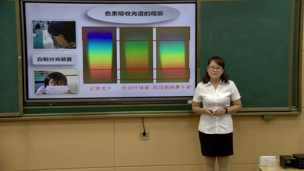 [图]生物微课——绿叶色素的提取分离实验改进与创新