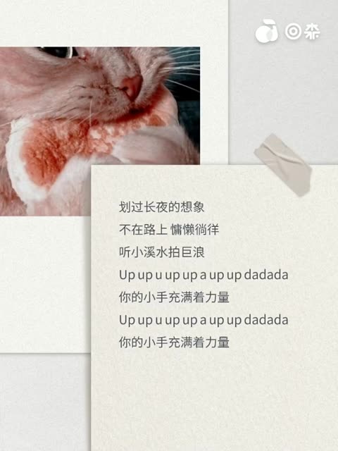 Upupu 李大宝哔哩哔哩bilibili