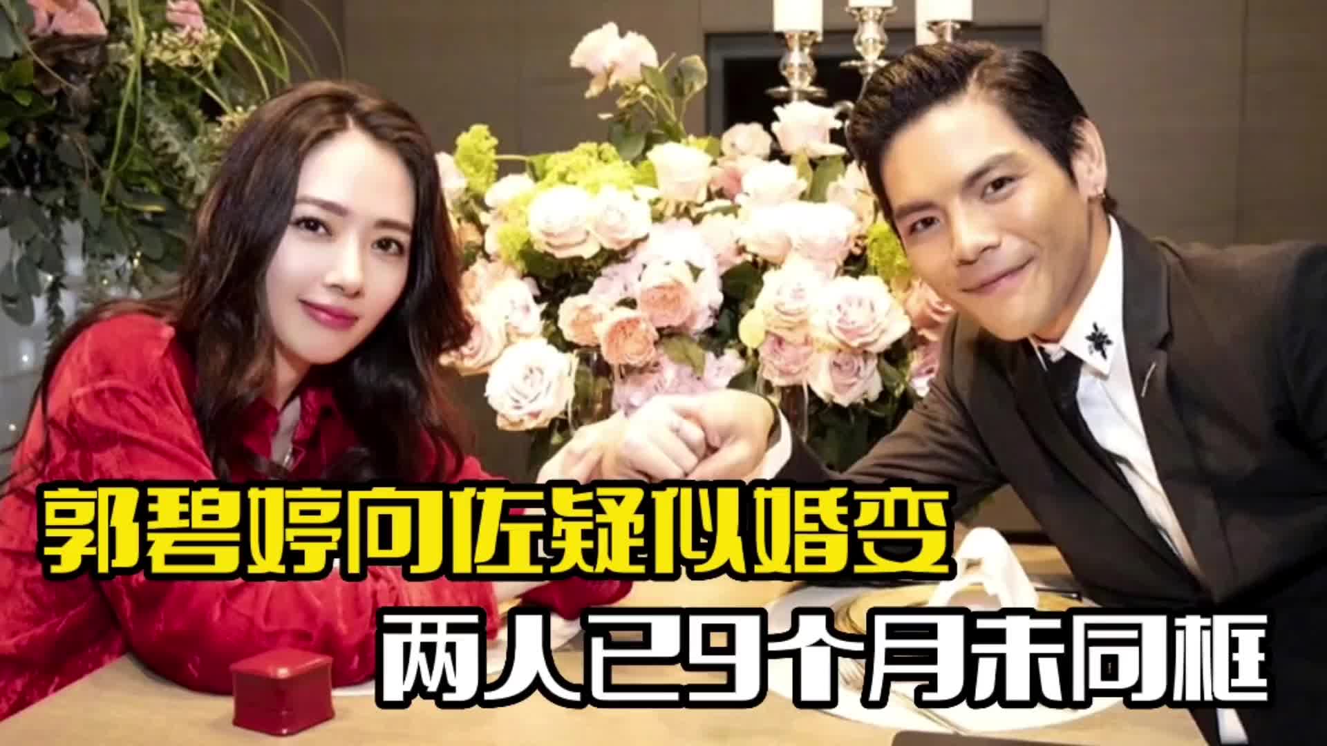 郭碧婷向佐疑似婚变!女方已取关对方,独自带娃返港