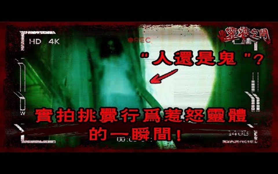 胆小鬼禁地【恐怖灵异实录】哔哩哔哩bilibili