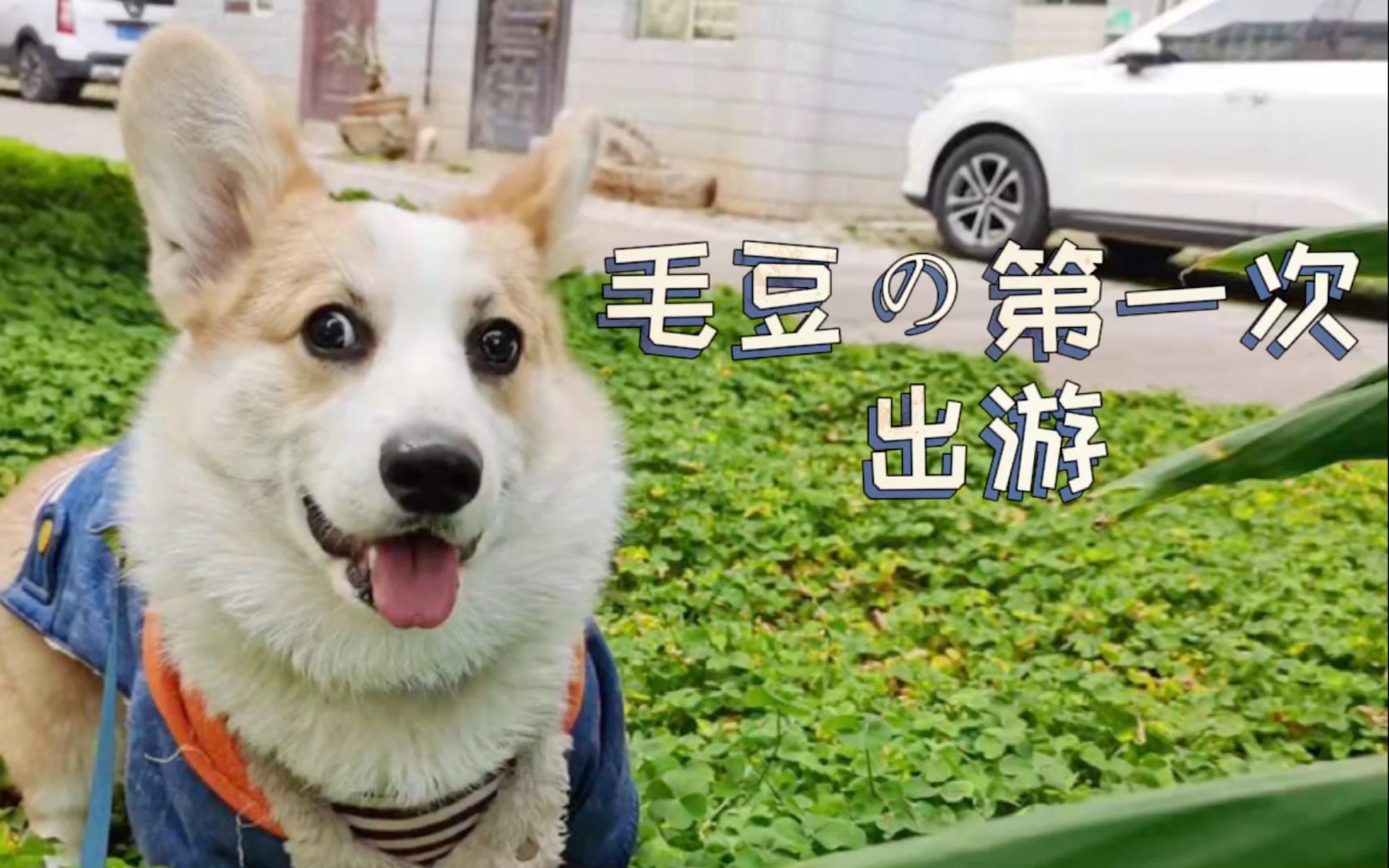 狗子の第一次出游