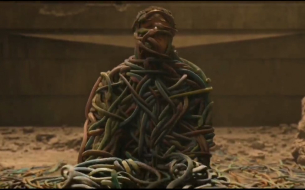 饥饿游戏版虿盆蛇潮汹涌密恐慎入