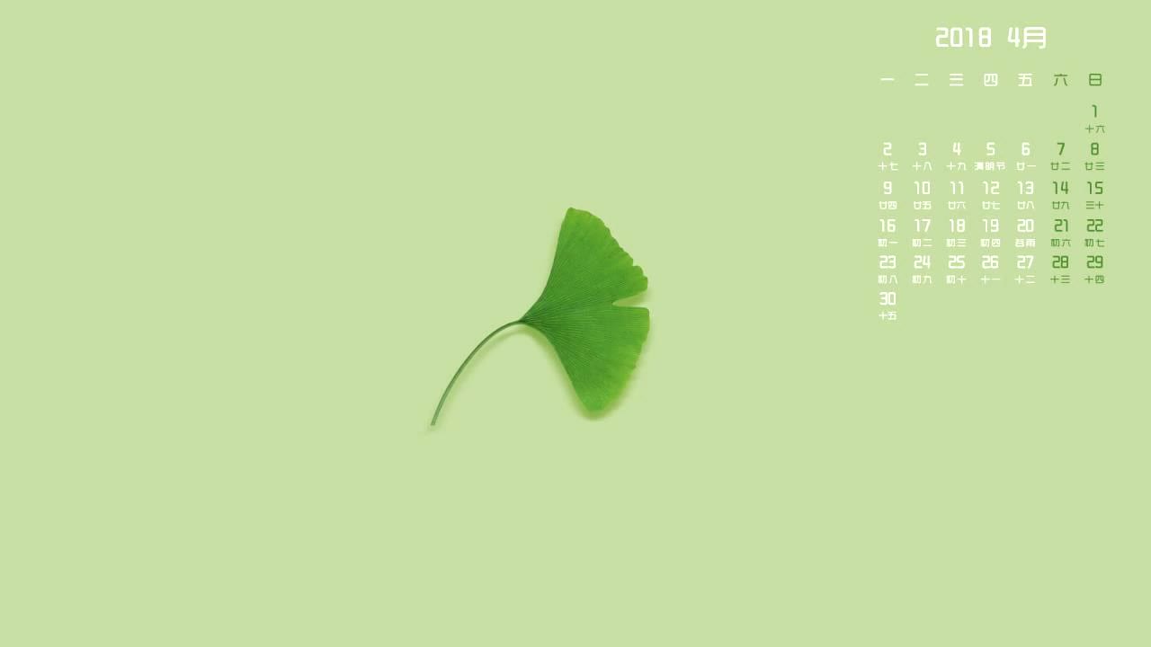 ppt 背景 壁纸 电脑桌面 发芽 绿色 绿色植物 嫩芽 嫩叶 新芽 植物