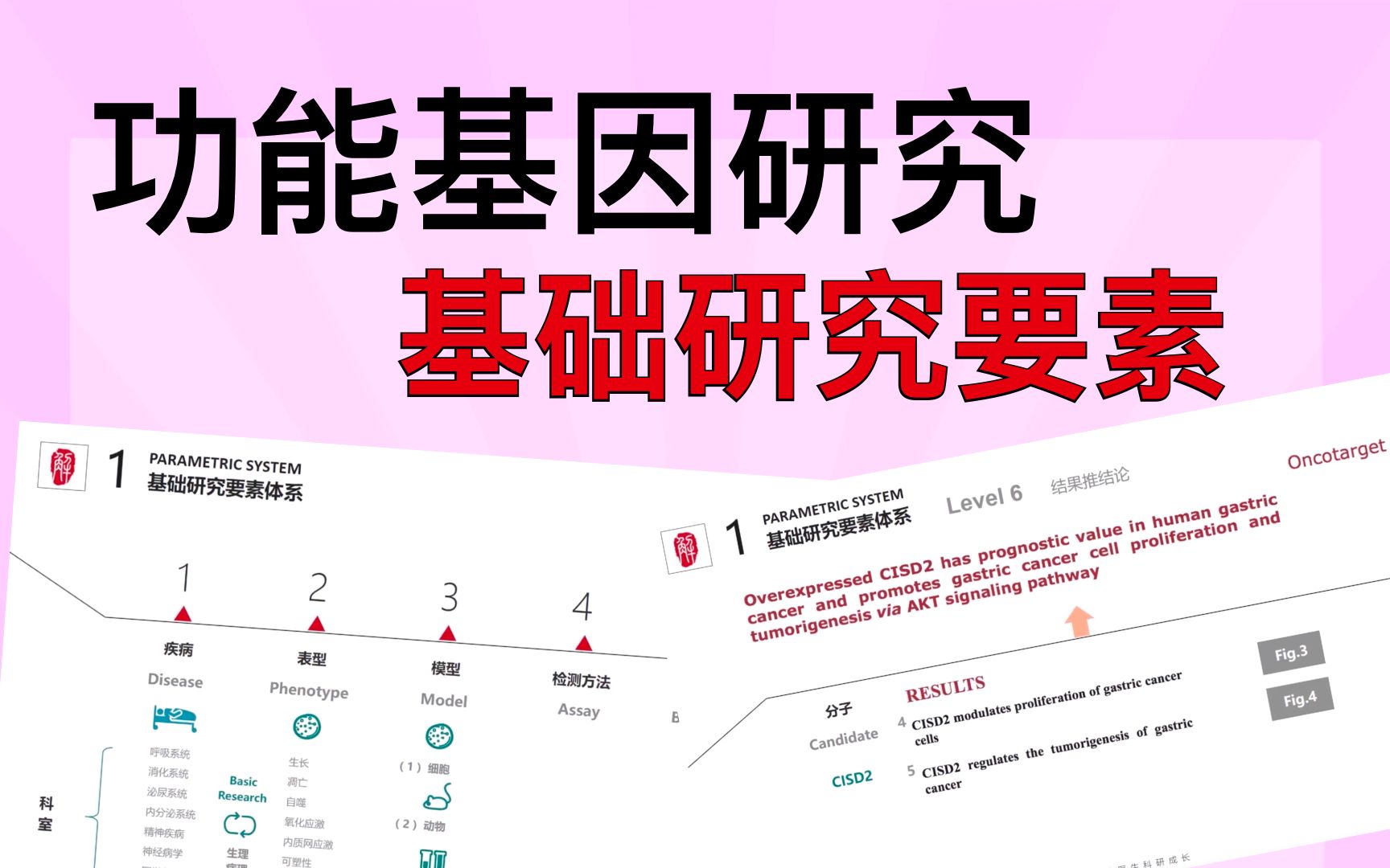 [图]【SCI文章套路】关于功能基因的研究，一定都包含了这些内容，想要高分内容，记得来学！