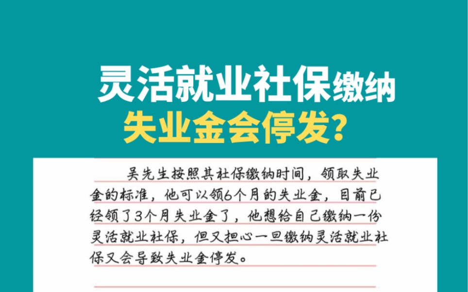 失业金领取期间能缴纳灵活就业社保吗哔哩哔哩bilibili