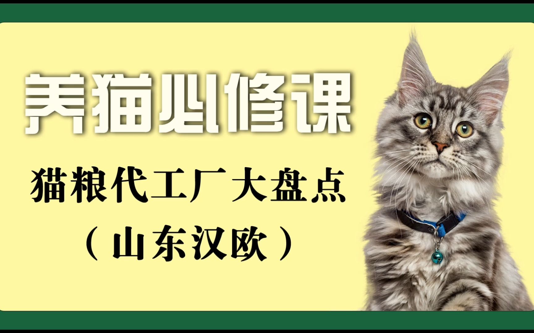 养猫必修课—猫粮代工厂大盘点—山东汉欧哔哩哔哩bilibili