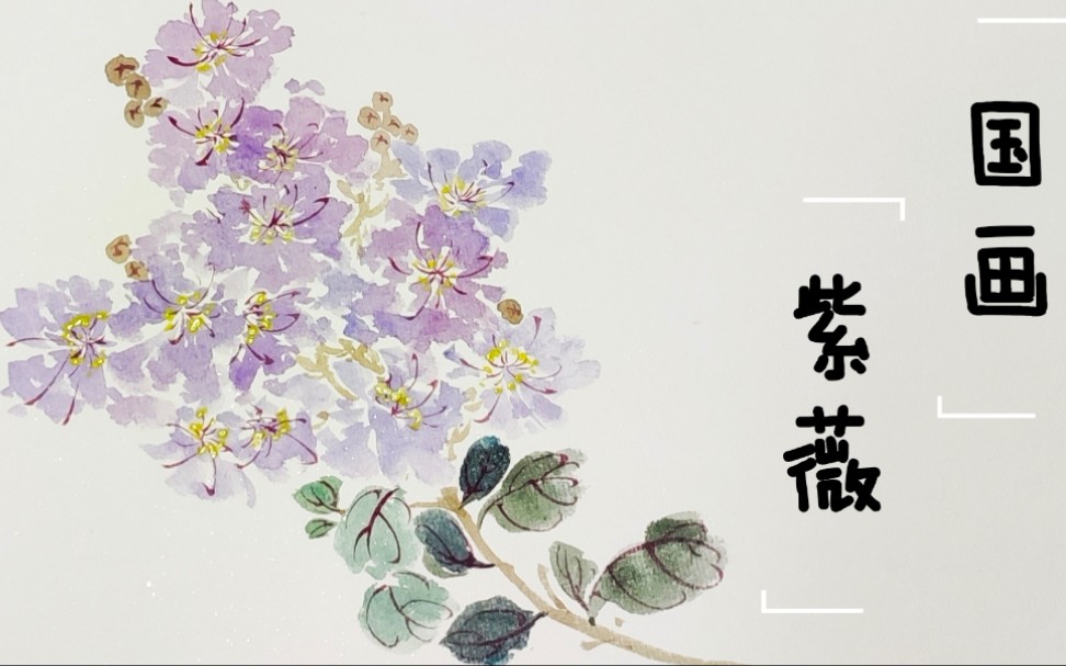 [图]【国画没骨紫薇】独坐黄昏谁是伴，紫薇花对紫微郎