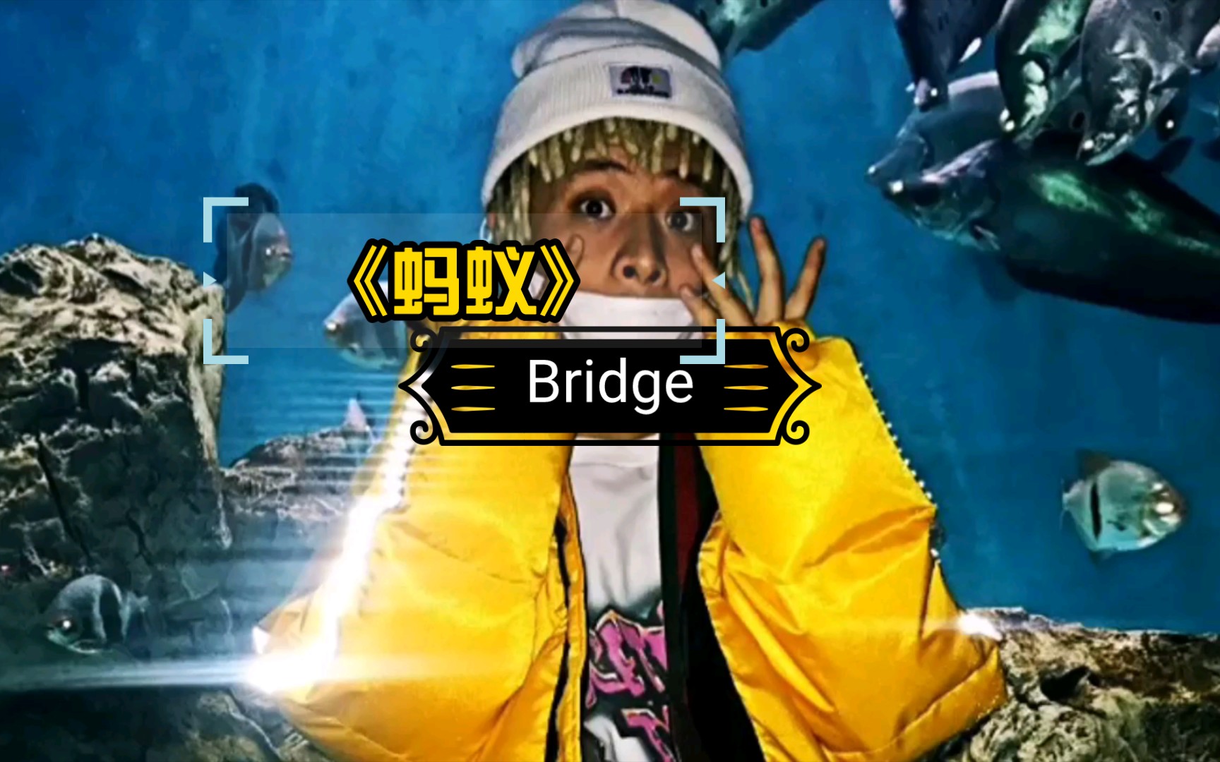 【Gosh】Bridge《蚂蚁》原版哔哩哔哩bilibili