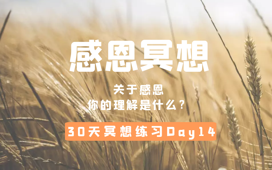 [图]【30天冥想练习Day 14：感恩冥想】什么样的人更容易感到幸福？教你一个召唤幸福的秘诀~ 懂得珍惜 | 正能量 | 宽容