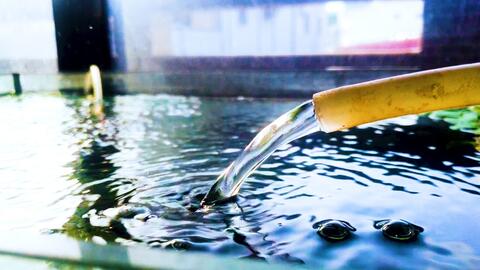 在窗戶邊設置一個 不用co2 不用燈管 自然水草缸 哔哩哔哩