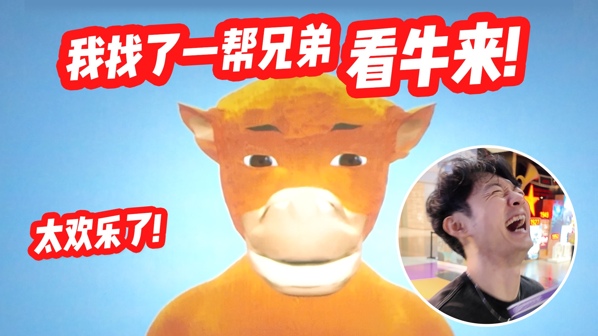 太欢乐了！我找了一帮兄弟看牛来！