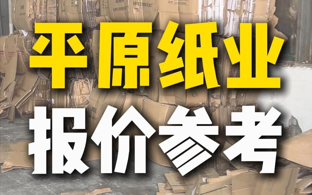 8月15日汇胜集团平原纸业行情参考哔哩哔哩bilibili