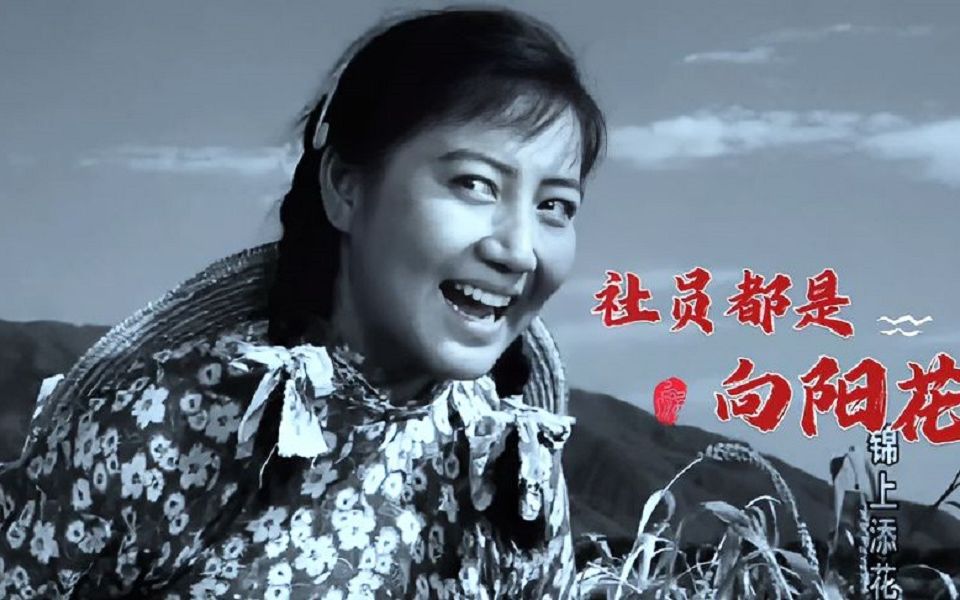 郭兰英经典红歌《社员都是向阳花》歌声高亢激昂,让人心心情舒畅