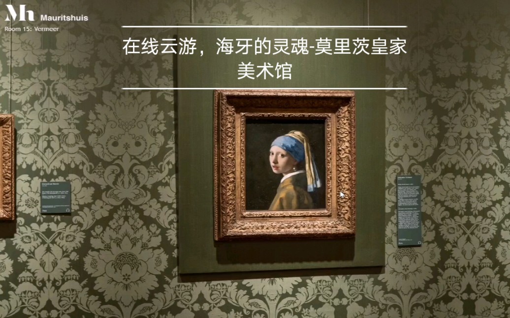 [图]虚拟美术馆体验，日常审美积累，一起来云游海牙的灵魂-Mauritshuis莫里茨皇家美术馆吧