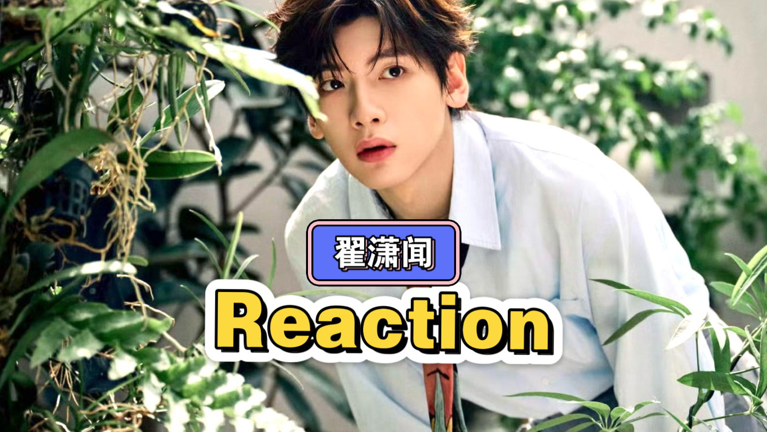 【粉丝安利 翟潇闻 新人reaction】第一次了解 好搞笑 好可爱哈哈 变