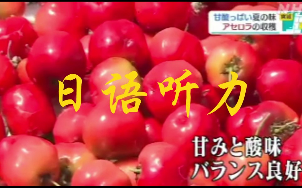 日语听力 西印度群岛樱桃收获迎来旺季 副助词 だけ ばかり哔哩哔哩bilibili