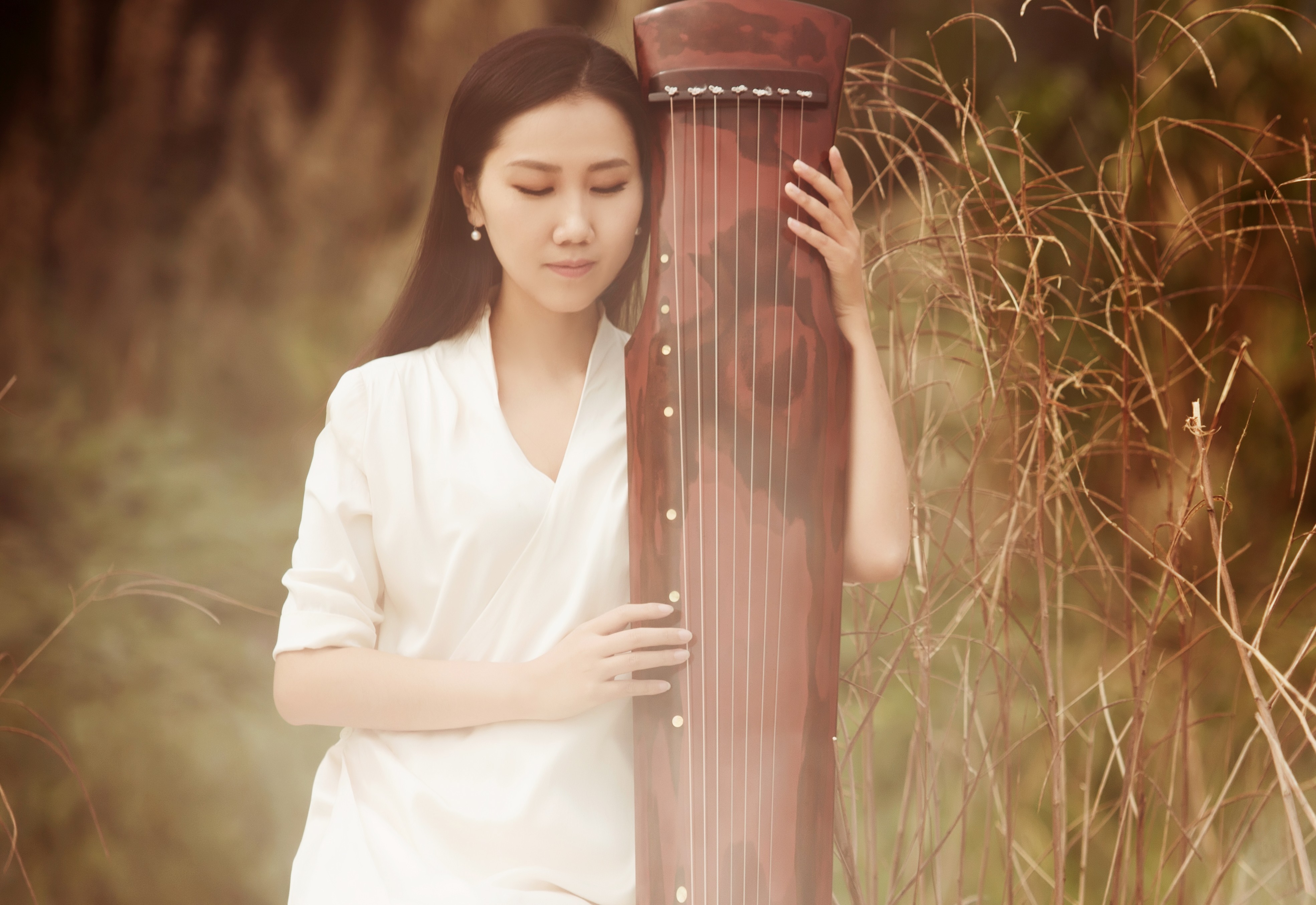 古琴名曲《鹤冲霄》