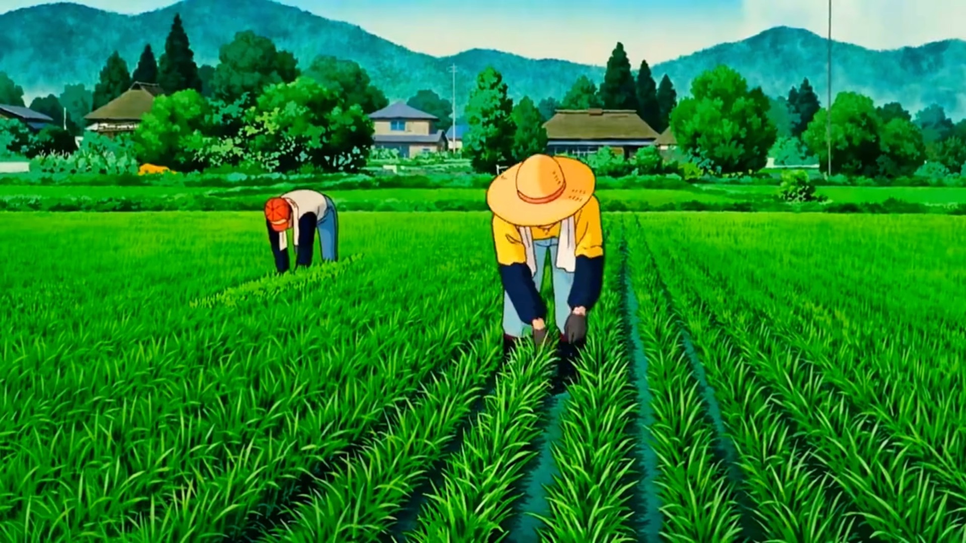 治愈系动漫