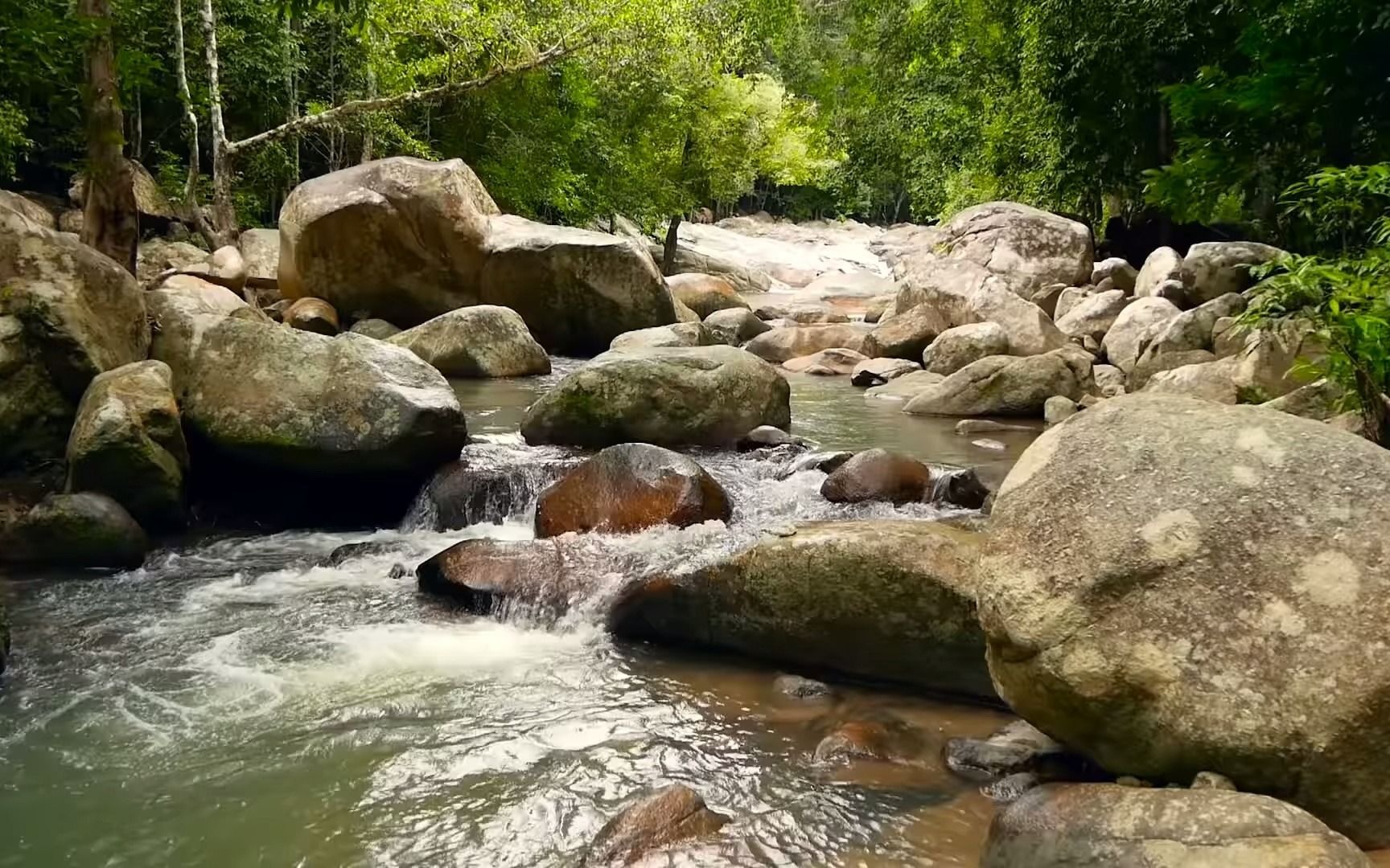 [图]【风景】李斯特 爱之梦、安慰曲、旅游岁月等