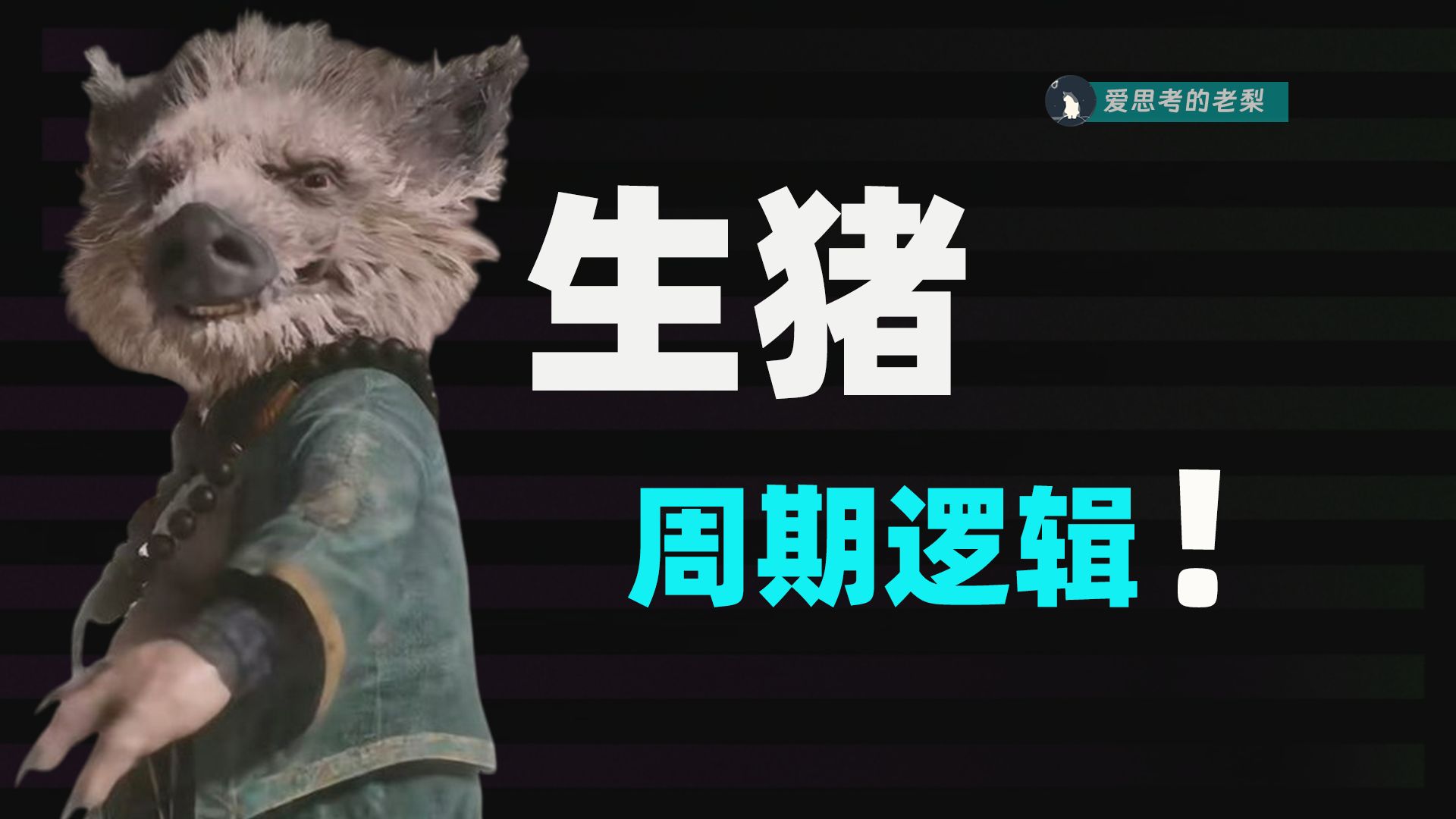 【深度】一文理解猪周期?解密猪周期背后的密码!哔哩哔哩bilibili