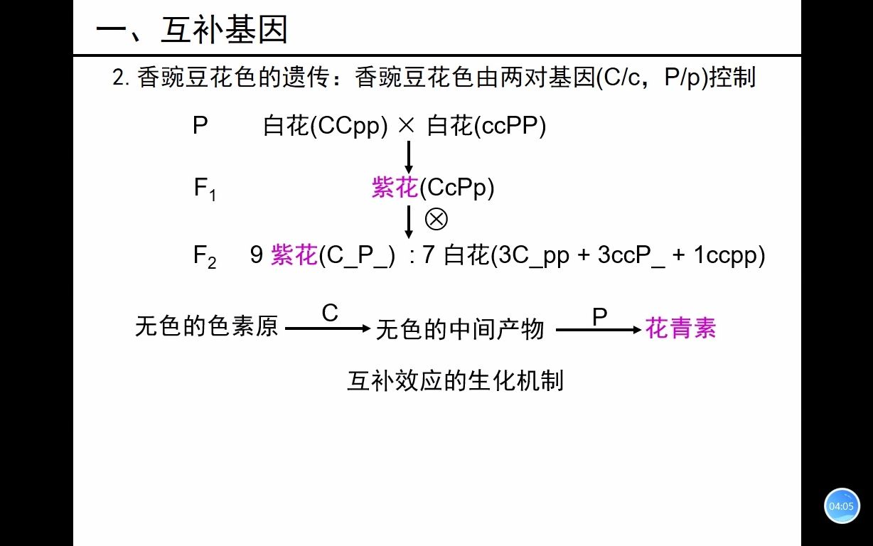 4.5非等位基因间的相互作用哔哩哔哩bilibili