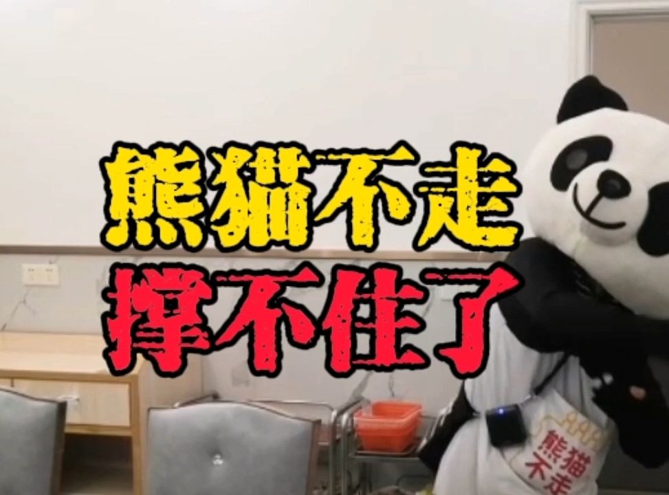 熊猫不走,撑不住了?哔哩哔哩bilibili