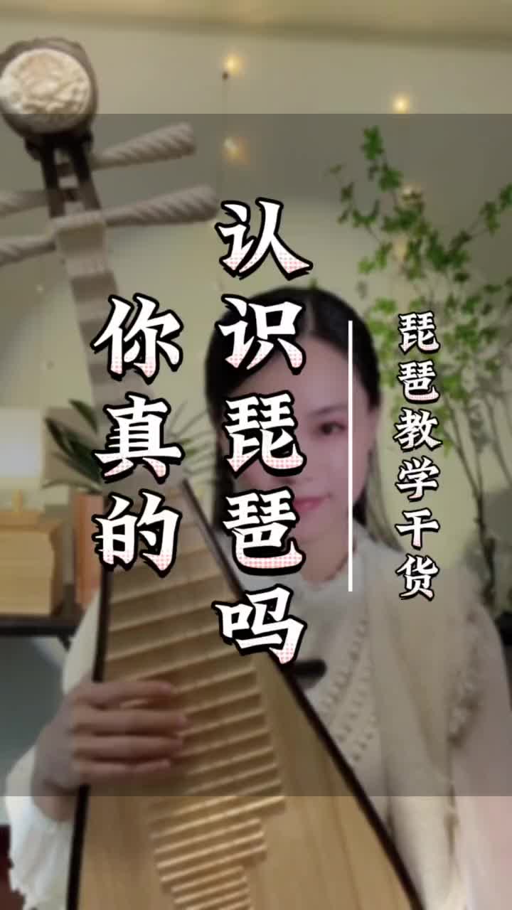 你真的认识琵琶吗? 琵琶教学 琵琶入门教学 弘扬国乐哔哩哔哩bilibili