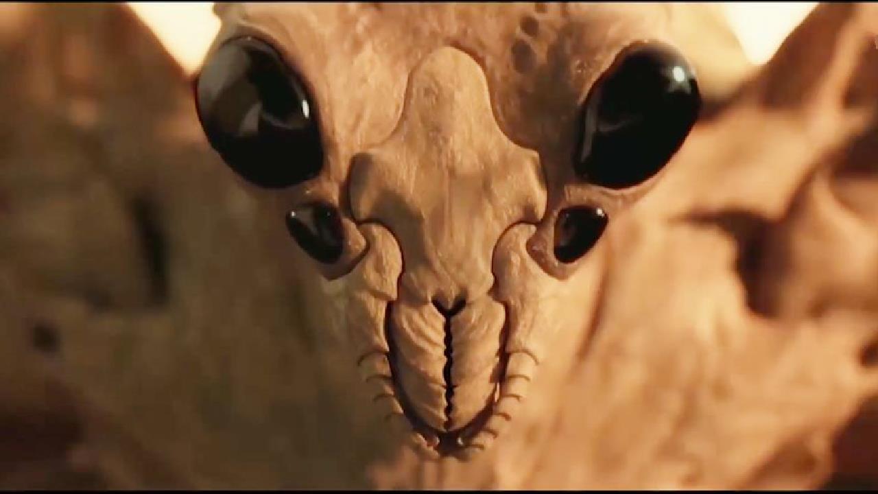 男孩意外见到外星怪虫,我以为他完了,想不到却活下来了!