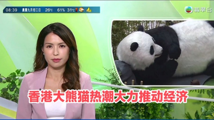 【TVB翡翠台】早晨新闻:香港掀起大熊猫热潮 大力推动经济发展哔哩哔哩bilibili