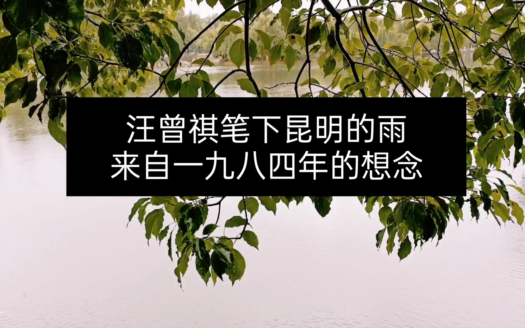 [图]汪曾祺笔下昆明的雨 来自一九八四年的想念