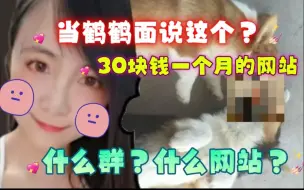 Download Video: 【小智】当着鹤鹤的面GHS？一个月30块钱的网站是什么网站？