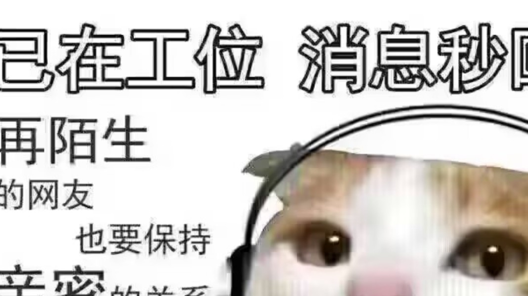 我是成龙哔哩哔哩bilibili