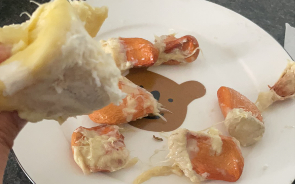 榴莲的五秒人生