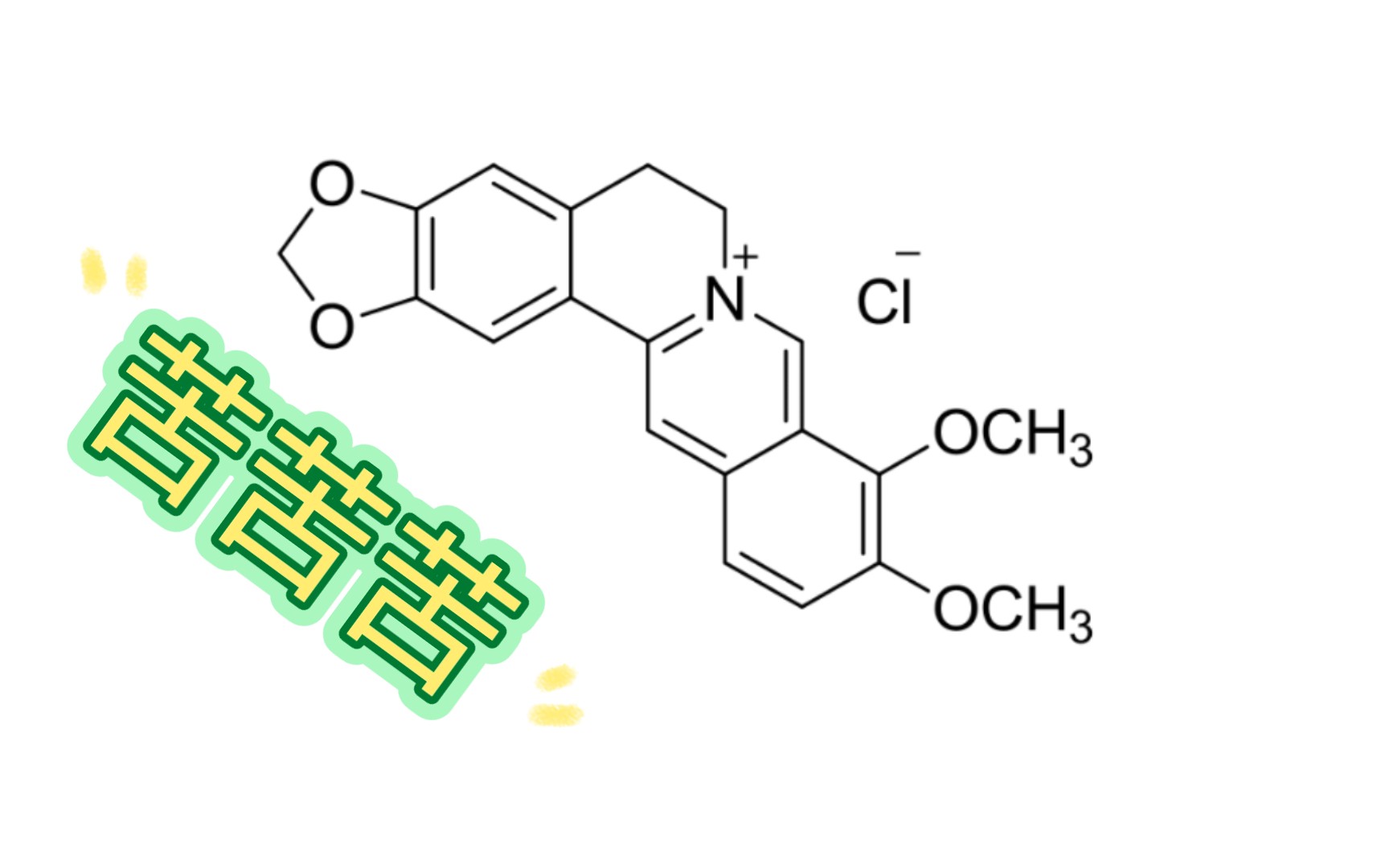为什么都是盐酸小檗碱,一个苦的痛彻心扉,另一个却没有味道?哔哩哔哩bilibili