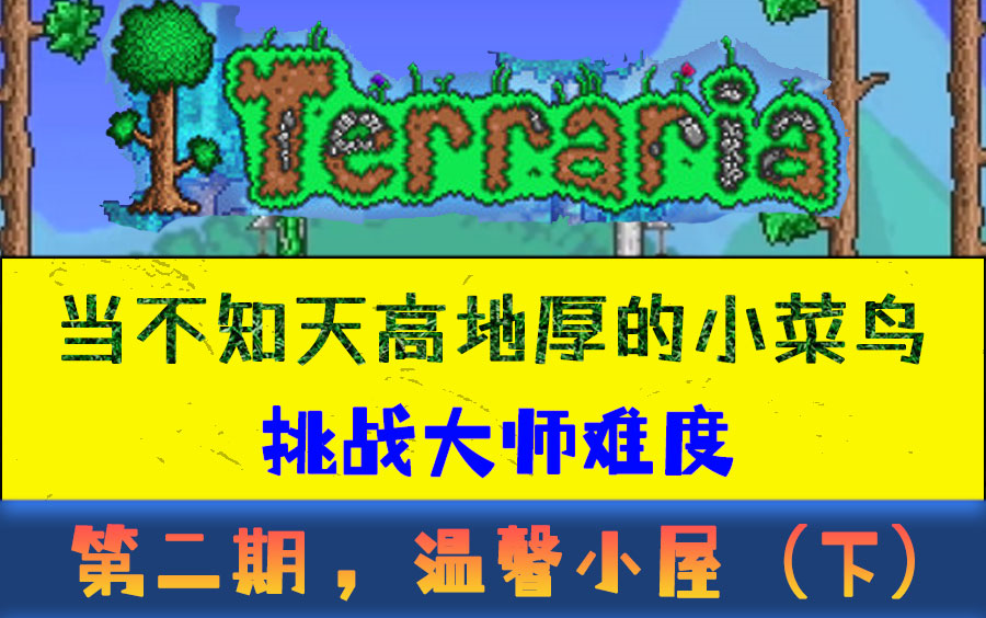 【大涩狼】 泰拉瑞亚 Terraria 温馨小屋(下)泰拉瑞亚沙雕日常