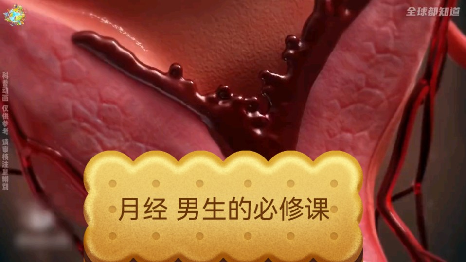 月经 男生的必修课