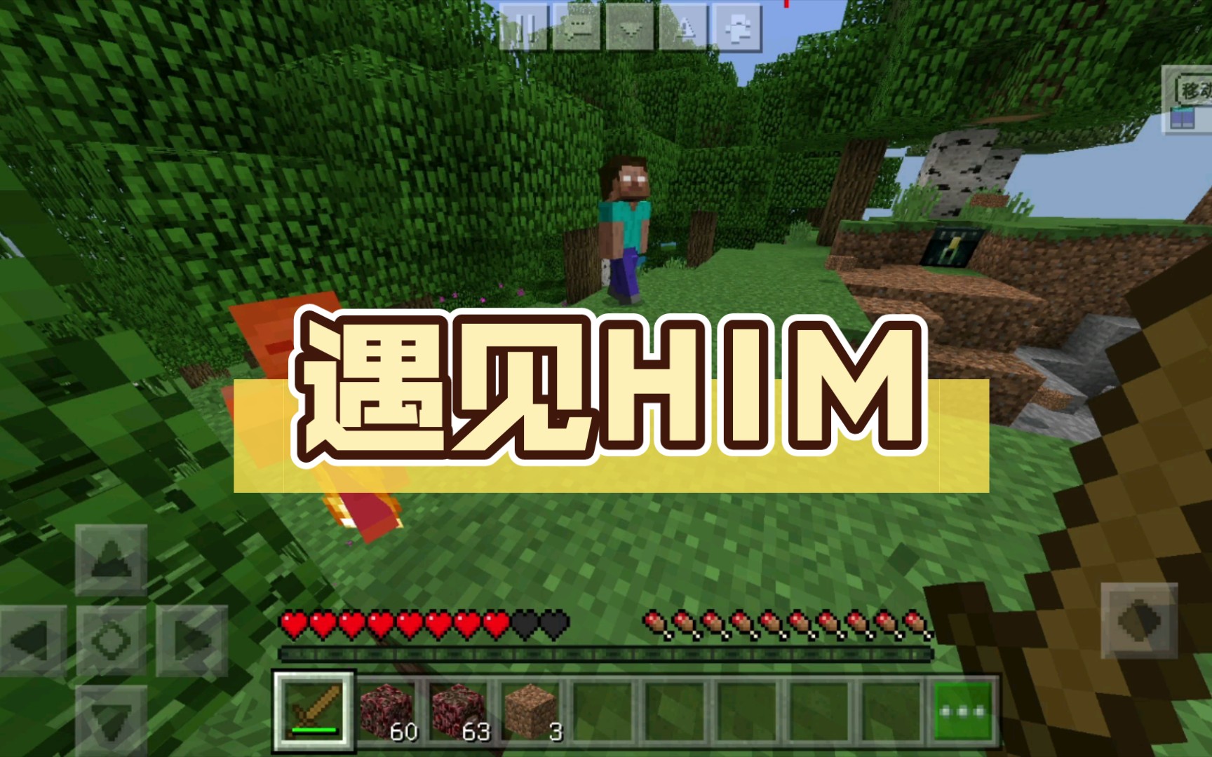 遇见him