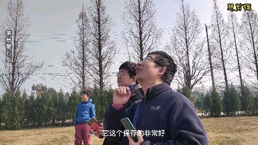 栖霞的南朝石刻下篇(萧景萧统墓)哔哩哔哩bilibili