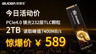 Tải video: GUDGA/固德佳 今日特价拼团 PCIe 4.0 SSD 2TB 峰值读写7400MB/S 活动数量有限