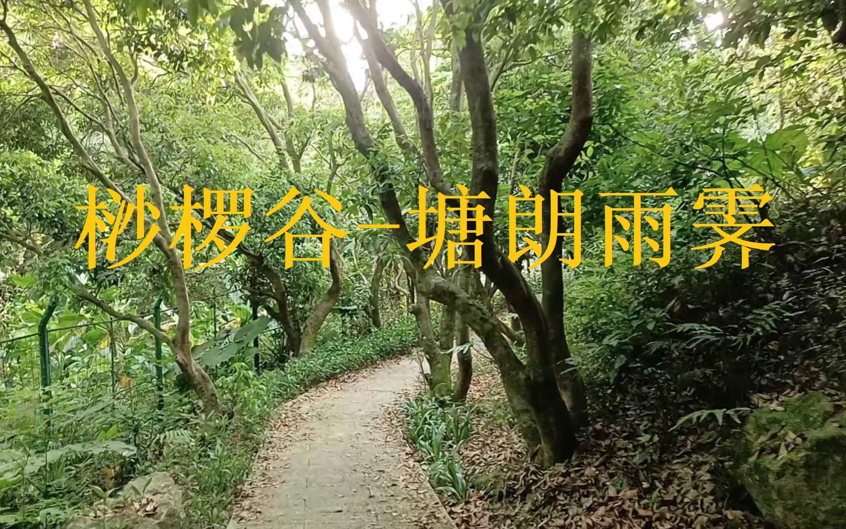 [图]塘朗山02-塘朗雨霁-桫椤谷