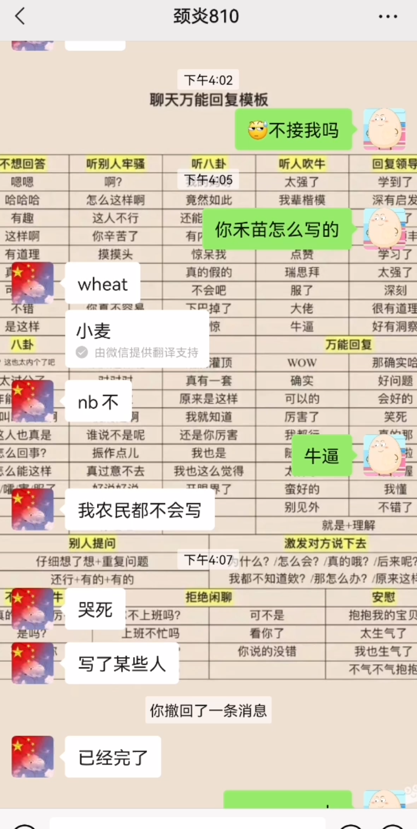 四级把禾苗翻译成........哔哩哔哩bilibili