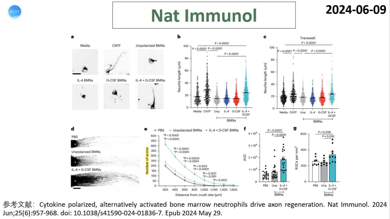 Nat Immunol—神经修复重磅突破:IL4和GCSF极化的骨髓中性粒细胞具有驱动轴突再生的能力哔哩哔哩bilibili